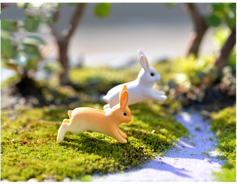 Enchanting Rabit Decor