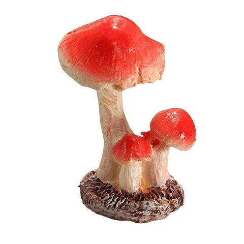Miniature Fairy Garden Set with Pool, Mushrooms, and Ornaments