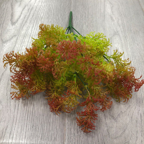 The Fairy Garden Essentials: Moss Grass and Pine Shape Moss
