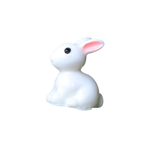 Miniature Rabbit