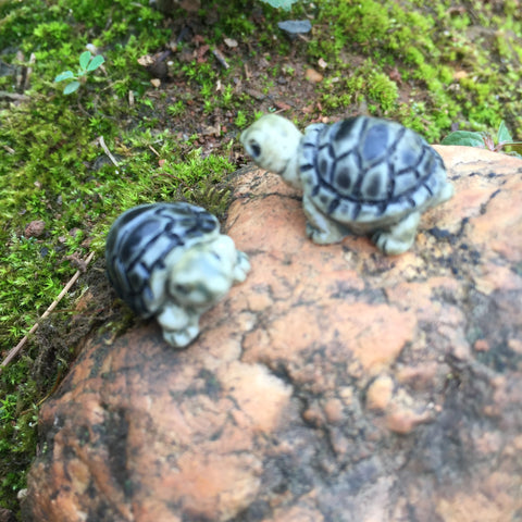Tiny Castle and Turtle Decors