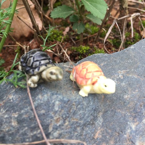 Tiny Castle and Turtle Decors