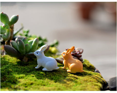 Enchanting Rabit Decor