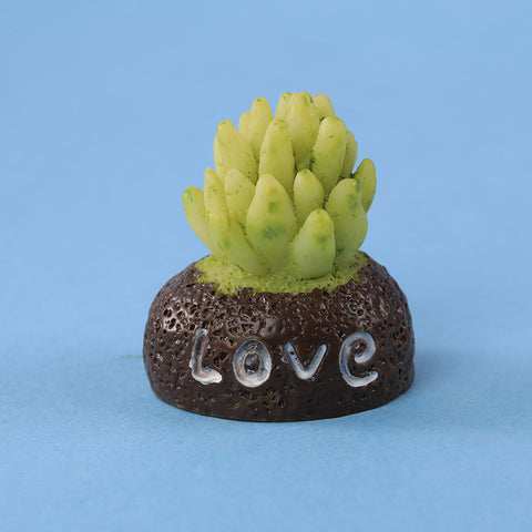 Mini Moss For Fairy Garden