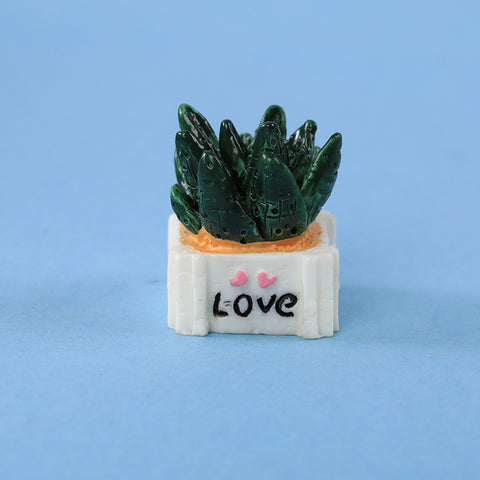 Mini Moss For Fairy Garden