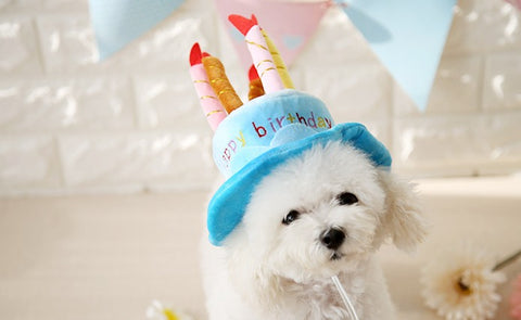 Birthday Cake Hat