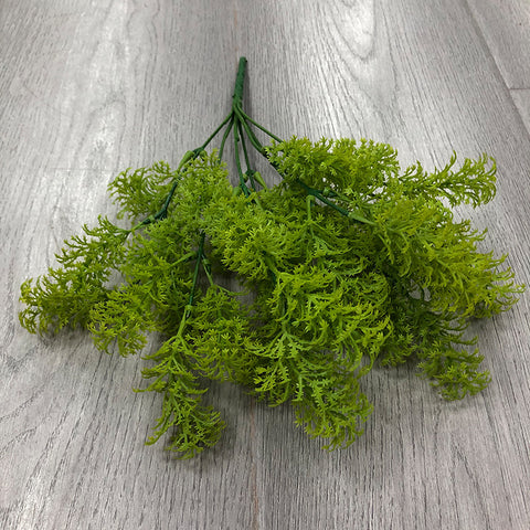 Pine Shape Moss