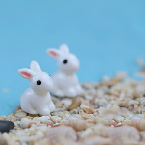 Miniature Rabbit