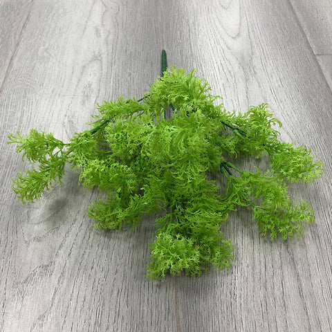 Pine Shape Moss