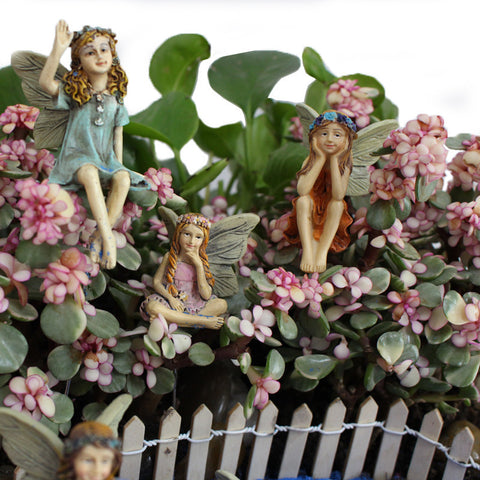 Flower Pot Fairies