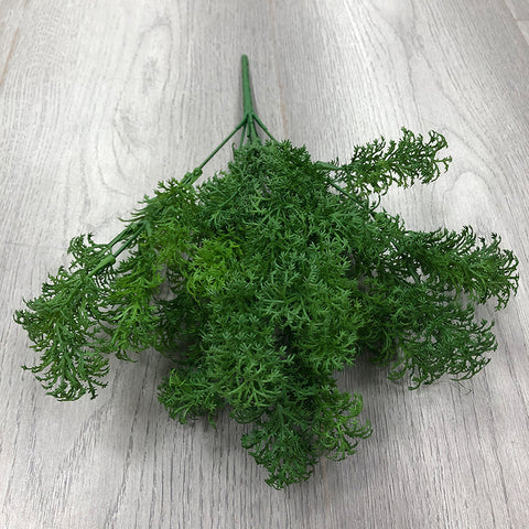 Pine Shape Moss